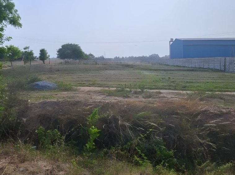 RIICO Plots Available